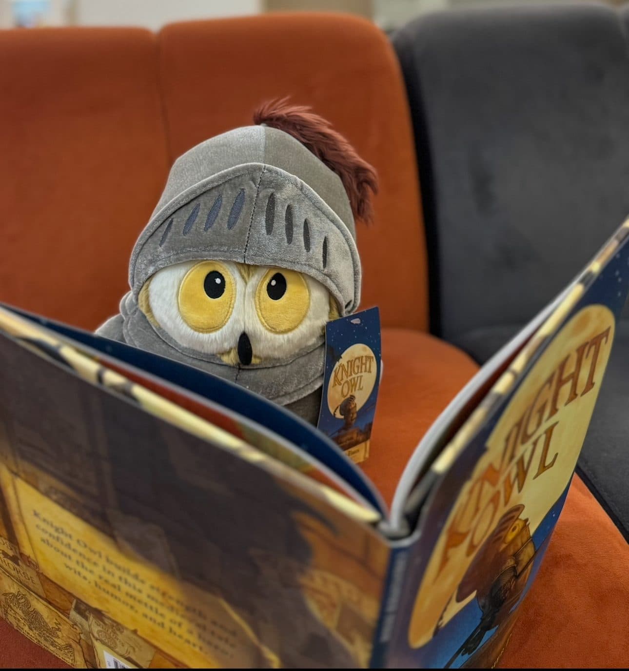 Virtual Storytime with Christopher Denise