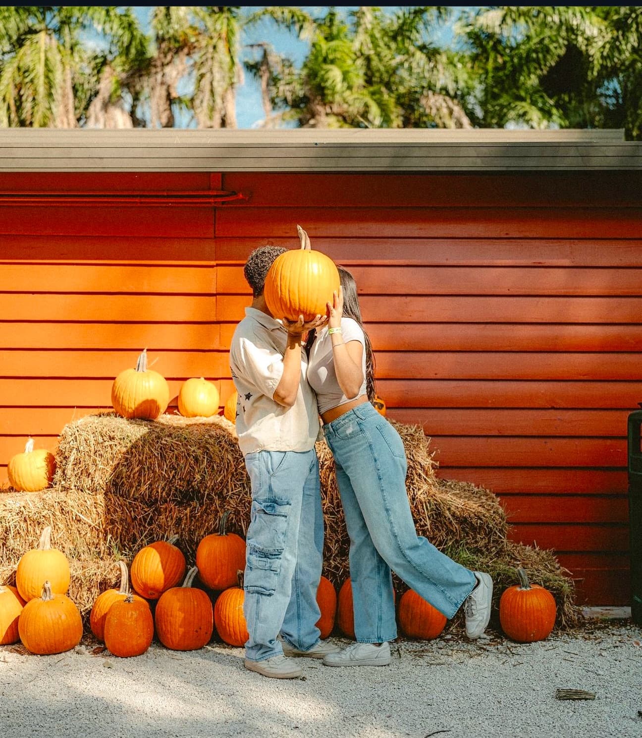 Pumpkin Patch Weekend Plans