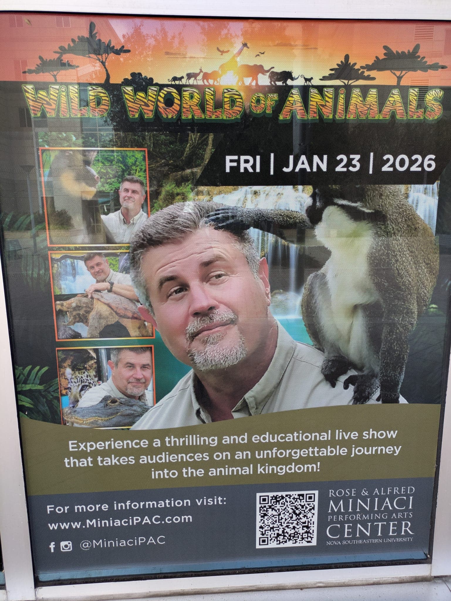 Wild World of Animals