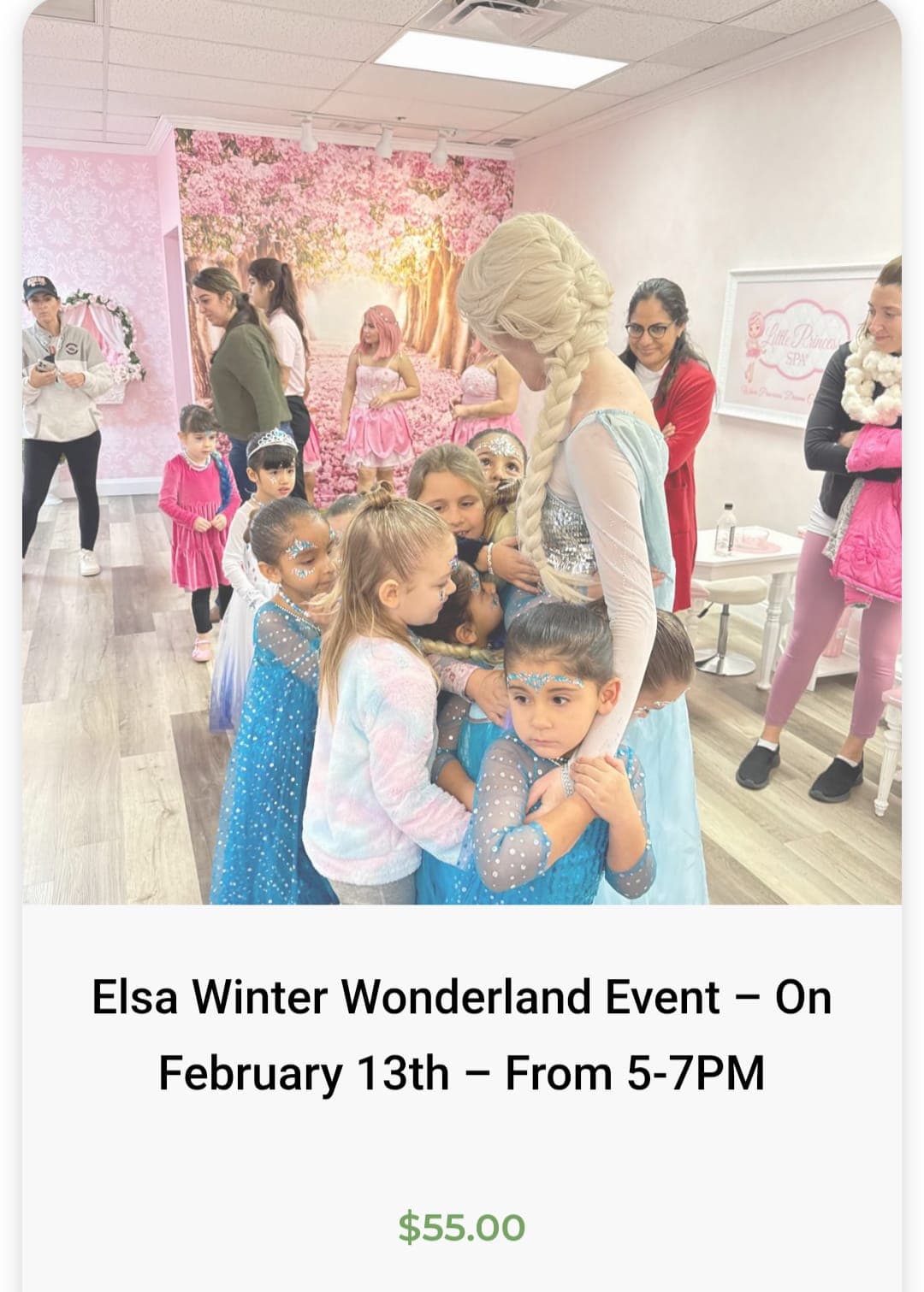 Elsa Winter Wonderland Event