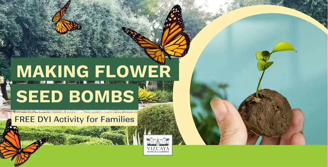 Making Flower Seed Bombs